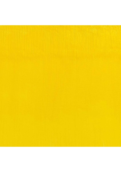 Artists Yağlı Boya 37ML Cadmium-Free Lemon 898 S.4