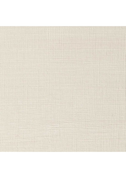 Artists Yağlı Boya 200ML Iridescent White 330 S.1