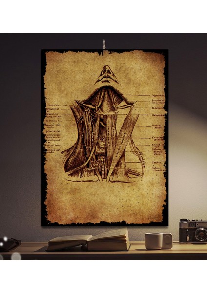insan Anatomisi Tasarım 50X70CM Dekoratif Hediyelik 8mm Ahşap Tablo