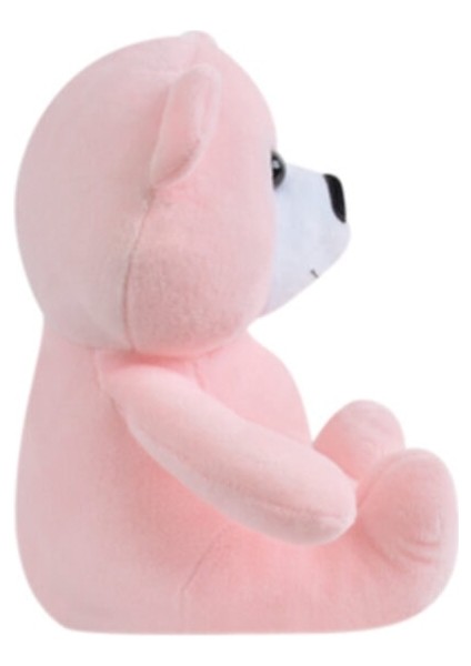 Oyuncak Peluş Ayıcık 15 cm Pembe Doğum Günü Hediyesi fiyatları