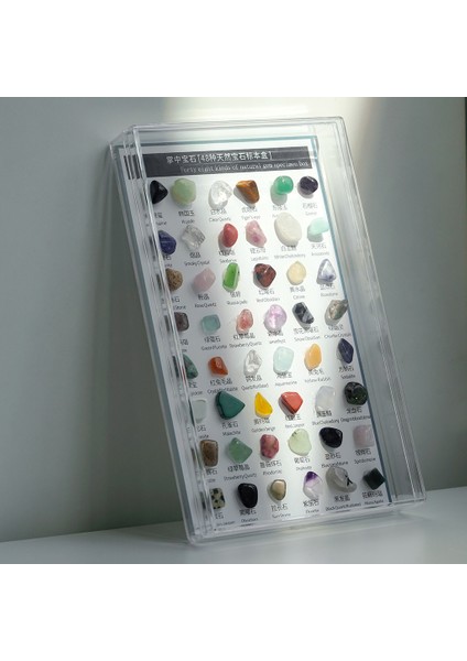 48X Rock ve Mineral Koleksiyonu Koleksiyoncu Box Premium Örnek Jeolojisinde fiyatları