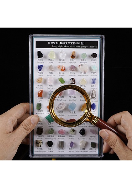 48X Rock ve Mineral Koleksiyonu Koleksiyoncu Box Premium Örnek Jeolojisinde modelleri