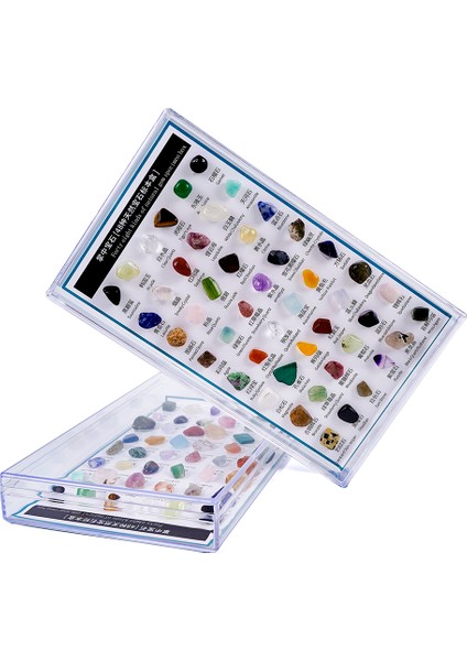 48X Rock ve Mineral Koleksiyonu Koleksiyoncu Box Premium Örnek Jeolojisinde indirimleri