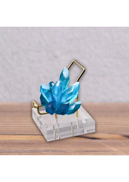 Flower World 1pc Clear Akrilik Ekran Stand Taş Mineral Metal Kol Tutucu 6X6X8CM