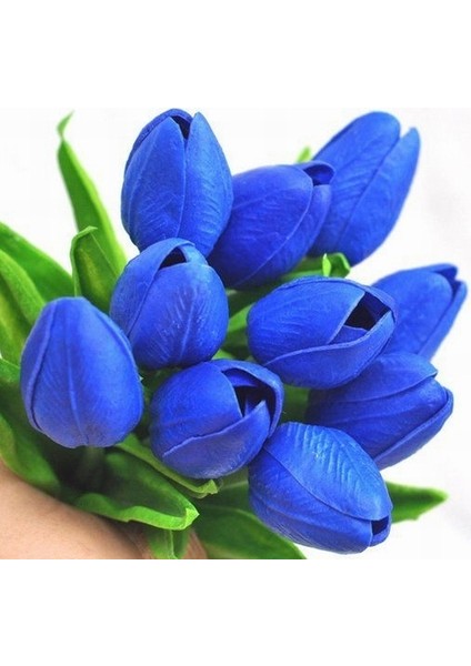 25 Adet Mavi Renk Lale Çiçeği Tohumu + 10 Adet Hediye Hollanda Gülü Çiçek Tohumu