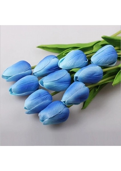50 Adet Mavi Renk Lale Çiçeği Tohumu + 10 Adet Hediye Hollanda Gülü Çiçek Tohumu