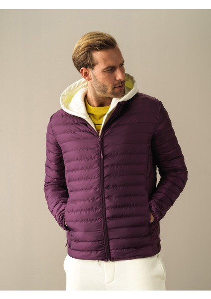 Erkek Mor Regular Fit Şişme Mont fiyatları