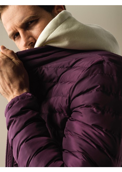 Erkek Mor Regular Fit Şişme Mont indirimleri