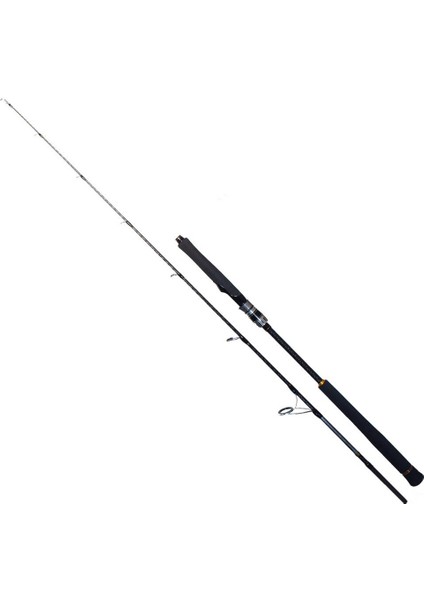 Seawolf 1.98M 150-250GR 2p Jig Olta Kamışı