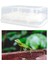 16 Yumurta Sürüngen Yumurta Inkübatör Tepsi Gecko Termometre Kaplumbağaları Inkübasyon (Yurt Dışından) 5