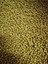 Flowerhorn Yemi 200 gram 3