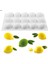 Profesyonel Limon Silikon Pasta Kek Kalıbı 1