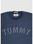 Tommy Jeans Erkek Bisiklet Yaka T-Shirt DM0DM05297 U006303 1