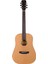FW-1NS Akustik Gitar (Natural) 1