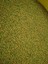 Artakua Guppy Fish Granulat, Lepistes Yemi 100 Gram 3