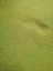 Artakua Baby Fish Granulat Yavru Balık Yemi 200 gram 2