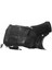 Renault Megane Ön Çamurluk Davlumbazı Sağ 1995-2002 7700434564 3