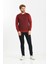 Erkek Polo Yaka Pamuklu Triko Kazak 4445F Bordo 2