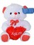 Halley Oyuncak 25 cm Aşkım Kalp Nakışlı Peluş Ayı 1
