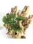 Yapay Çiçek Bonzai Dalı Çam Iğneli Bonsai Yaprakları Dekoratif Yapay Bitki 5