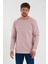 Erkek Pudra Bisiklet Yaka Basic Pamuklu Sweatshirt 9Y-5200177-004-1 1