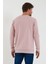 Erkek Pudra Bisiklet Yaka Basic Pamuklu Sweatshirt 9Y-5200177-004-1 4