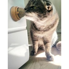 Dream Plus Doğal Yenilebilir Kedi Nanesi Otu Oyun Topu Oyuncağı Cat Mint Top Oyuncak Catnipli