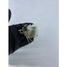 SırmalıHome Sırmalı Çeyiz Kına Geceleri Için 25 Adet Magnet Kına Tüpü Beyaz Lazer Kesimli Hediyelik