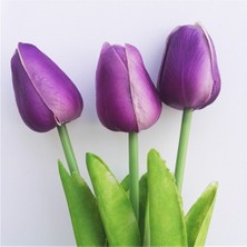 Day 100 Adet Mor Renk Lale Çiçeği Tohumu + 10 Adet Hollanda Gülü Çiçek Tohumu
