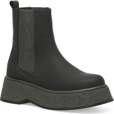 Incı That.z 2pr Haki Kadın Chelsea Bot