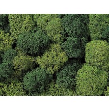 Noch 8621 Liken, Karışık Yeşil, 75 Gram Diorama Malzemesi