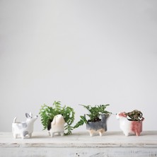 Warm Design Köpek Saksılık