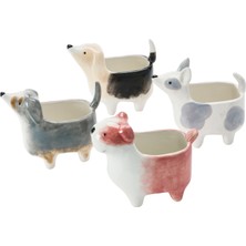 Warm Design Köpek Saksılık