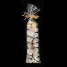 Vitale Dekroatif Kabuklar 33CM