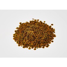 Tetra Pro Algae Crisp 10LT