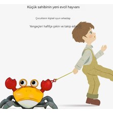 Prodigy Toy Çizgi Film Yengeç Plaj Su Saati Eğitici Oyuncak