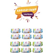 Alo Baby Ekonomik Paket  Islak Mendil 12 x 120 Yaprak (Toplam 1440 Yaprak)