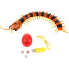 Flower World Cadılar Bayramı Electric Rc Cıctıon Uzaktan Kumanda Makinesi Kırkayak Gadgets (Yurt Dışından)