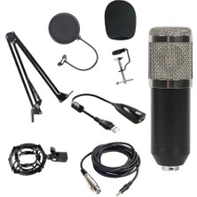 Strade Store Kondansatör Mikrofon Kiti Mikrofon Seti Ayarlanabilir Süspansiyon Makas Kolu Şok Montajı B Gümüş B Ses Kartı (Yurt Dışından)
