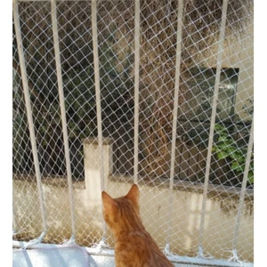 Balkon Filesi 2,5x10 Metre Bahçe Balkon Filesi Kedi Kuş Önleme Güvenlik Filesi