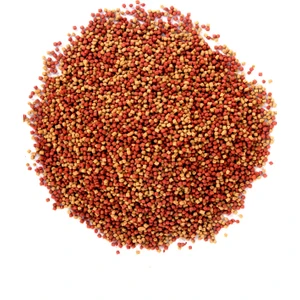 Japon Balığı Yemi Gold Mix 1000 + 250 ml Kutu ve Vitamin Seti, Bonisa 1000 ml + 250 ml + 30 cc