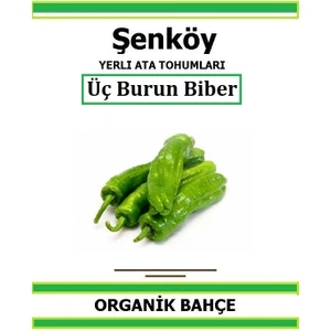 Yerli Tatlı Üç Burun Biber Tohumu Doğal Ata Tohum Pakette 20 Tohum + Hediye Sebze Tohumu