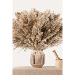 10 Adet Görkemli Kurutulmuş Pampas Bitkileri Kabarık Pampas Otları, Yapay Çiçek, Vazo Dahil Değildir