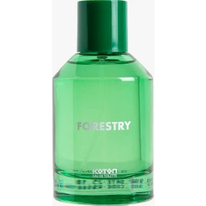 Parfüm Forestry 100 ML
