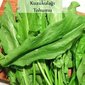 Çermik Fidancılık Kuzu Kulağı Tohumu Ekşi Ot 5 Gr