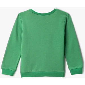 Erkek Bebek Sweatshirt Yeşil 3SMB10070TK
