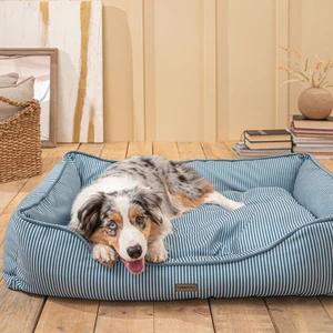 Rudy Kedi & Köpek Yatağı - Büyük Boy