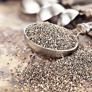 Bitki Baba Çia Tohumu 250 gr