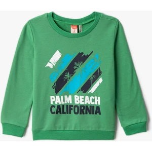 Erkek Bebek Sweatshirt Yeşil 3SMB10070TK