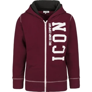 BRZ Collection Erkek Çocuk Baskılı Fermuarlı Kapüşonlu Sweatshirt